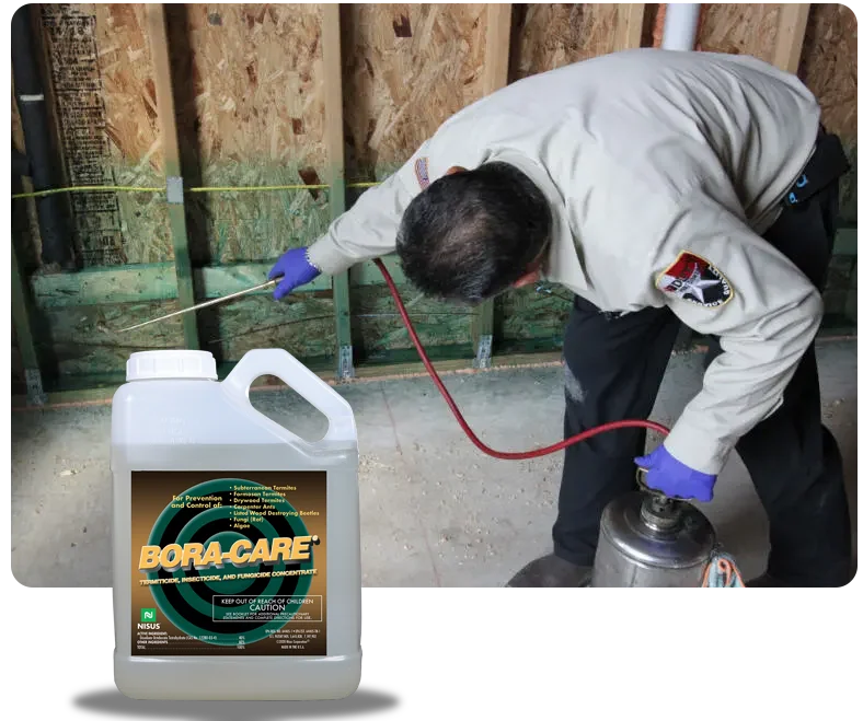 bora care termite
